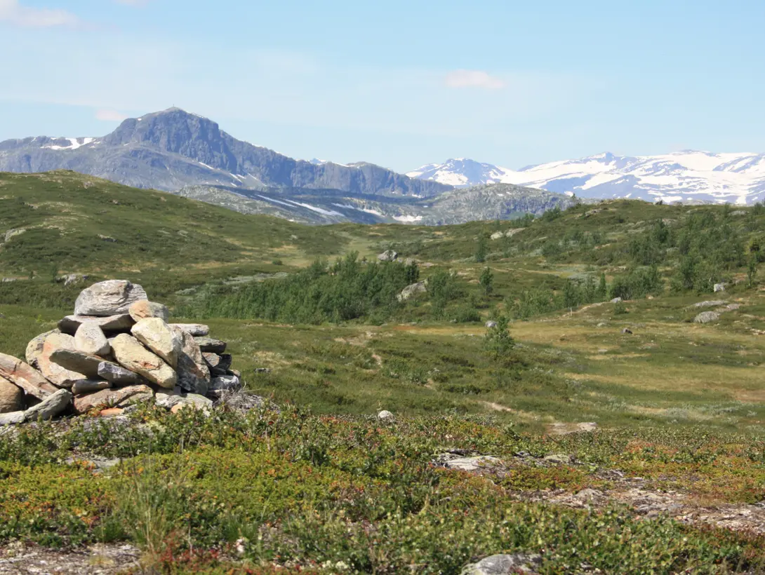 Varde med fjellet Bitihorn i bakgrunnen