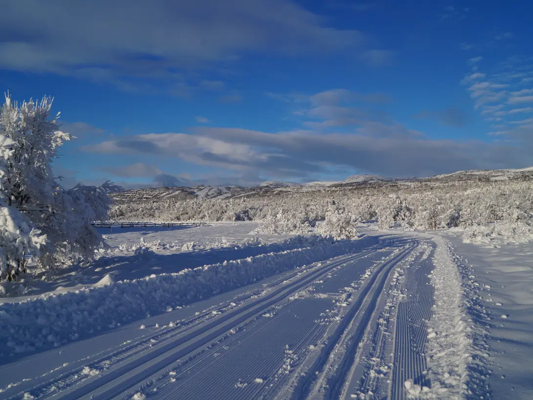 Nykjørte skiløyper ved Beitostølen Helsesportsenter