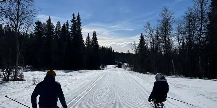 Langrennspiggere i vintersol