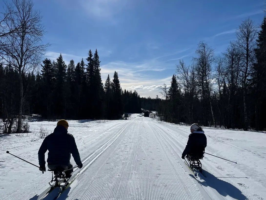 Langrennspiggere i vintersol