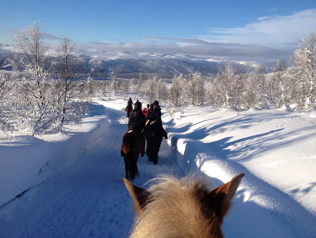 En gruppe på ridetur i flott vinterlandskap